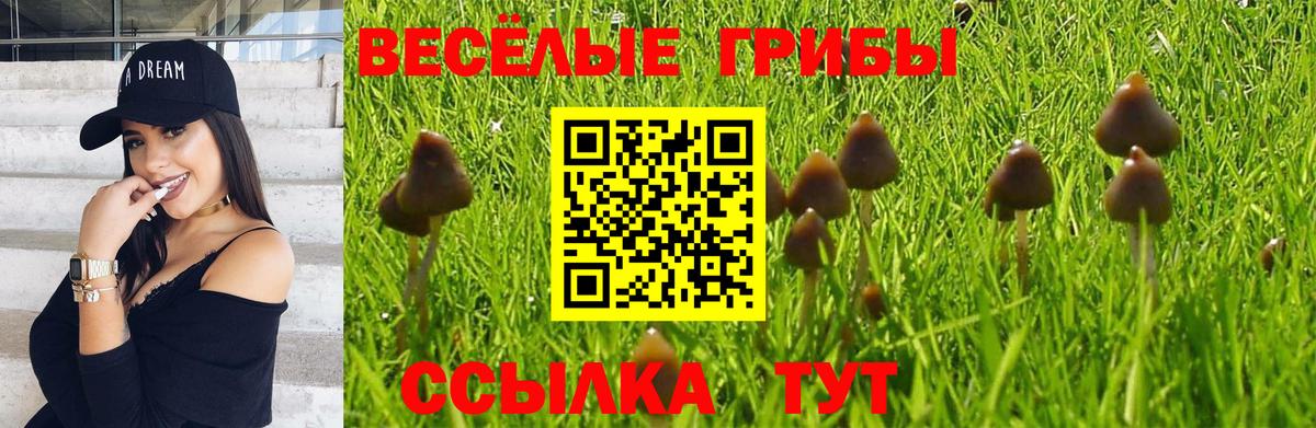 Галлюциногенные грибы Magic Shrooms  Вход с VPN  Волхов 
