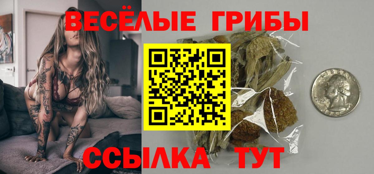 Псилоцибиновые грибы мицелий Волхов